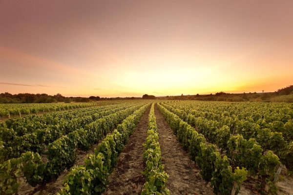 Ein Tag voller Highlights in Brem sur Mer