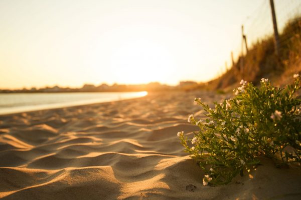 Lassen Sie die Seele baumeln – an unseren 20 Sandstränden