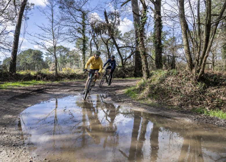 CIRCUIT GRAVEL – JAUNAY ET VIE