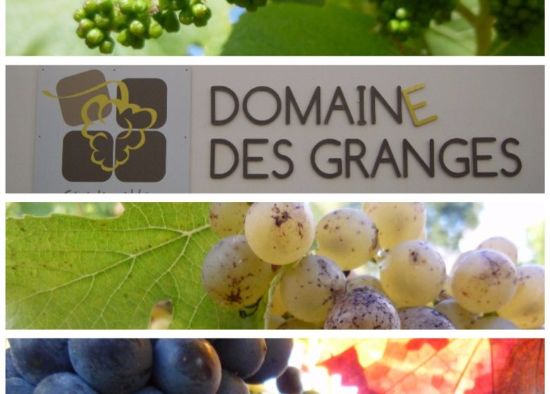 Domaine des Granges