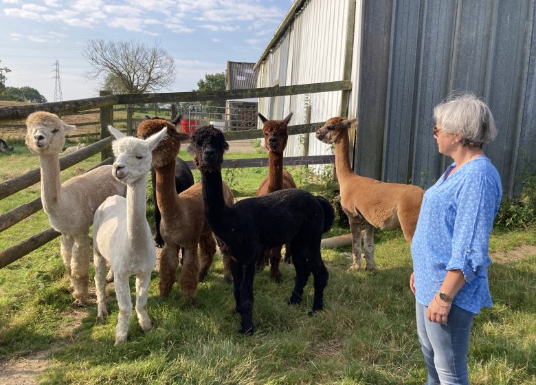 VISITEZ NOS ENTREPRISES – HARAS DE LA MONTAGNE