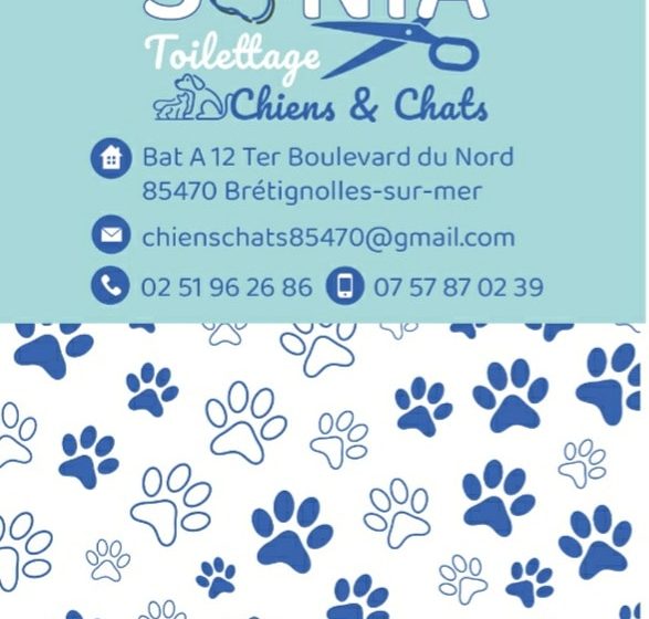 CHIENS ET CHATS – SONIA TOILETTAGE