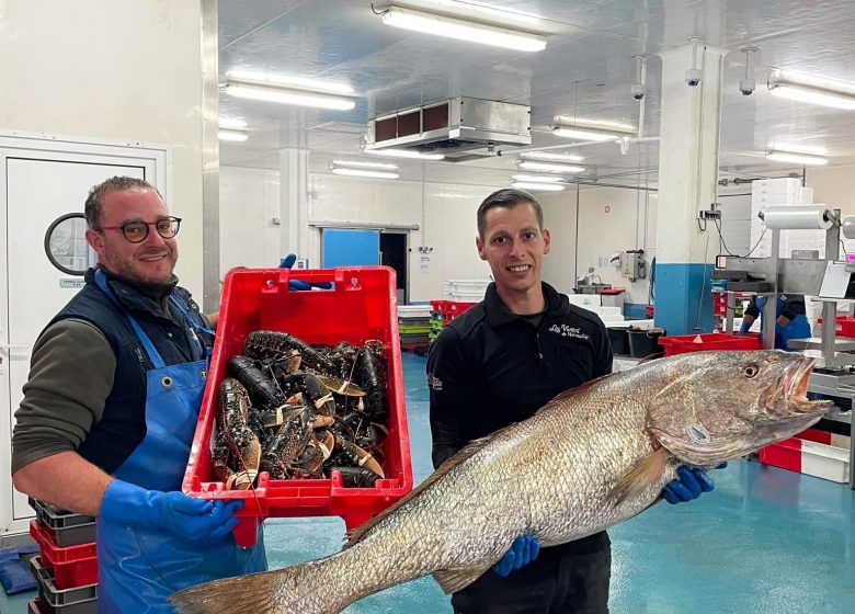 VISITEZ NOS ENTREPRISES – LES VIVIERS DE NOIRMOUTIER