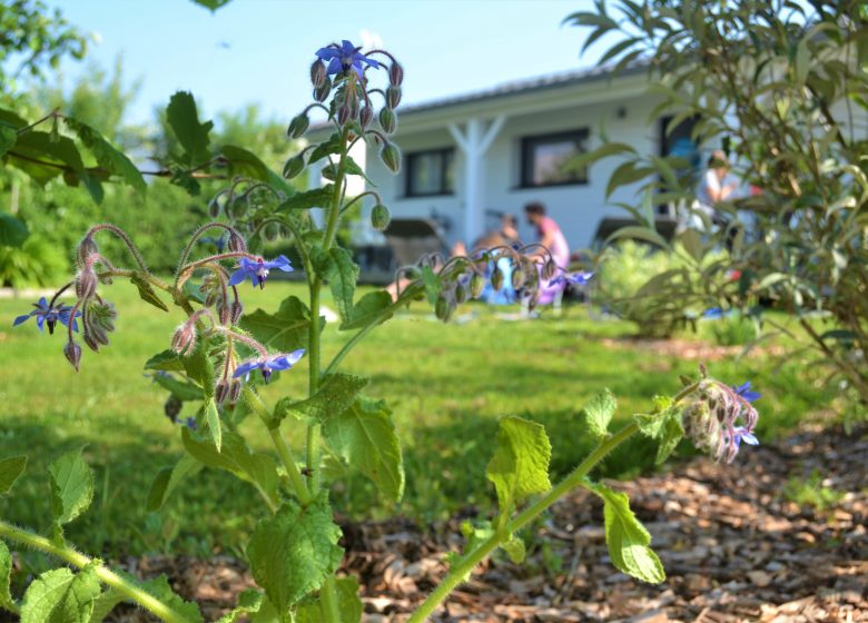 Ecolodge L’Auzance