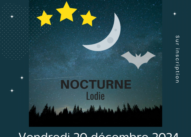 Spectacle „Lodie Nocturne“