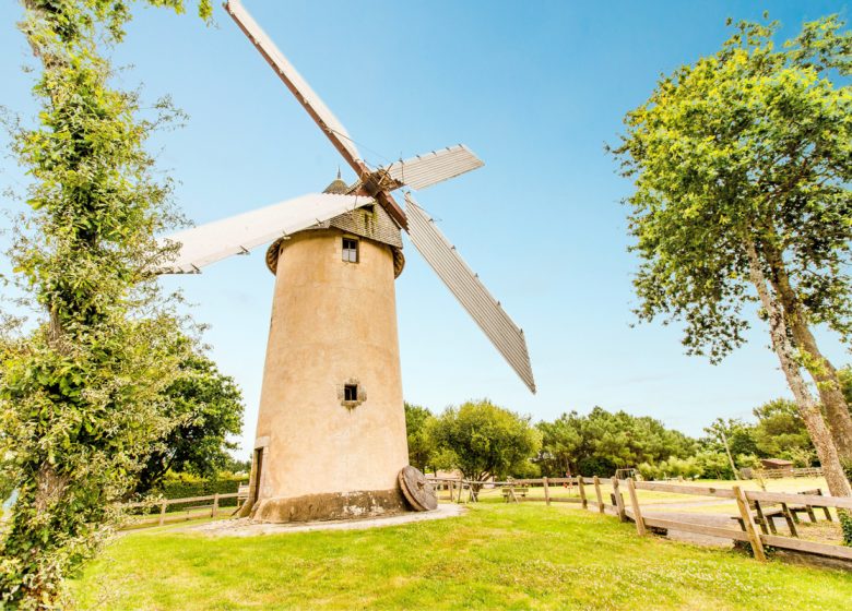 JOURNEES EUROPEENNES DU PATRIMOINE – MOULIN DES GOURMANDS