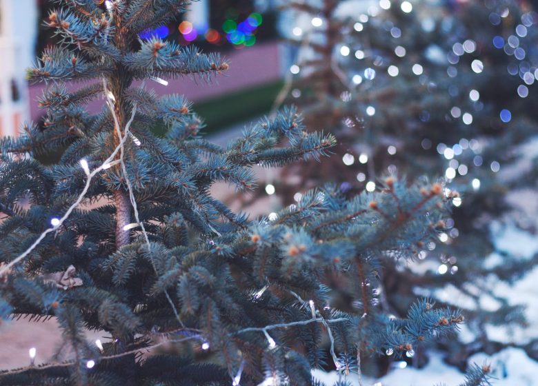 MARCHÉ DE NOËL DE SAINT HILAIRE DE RIEZ