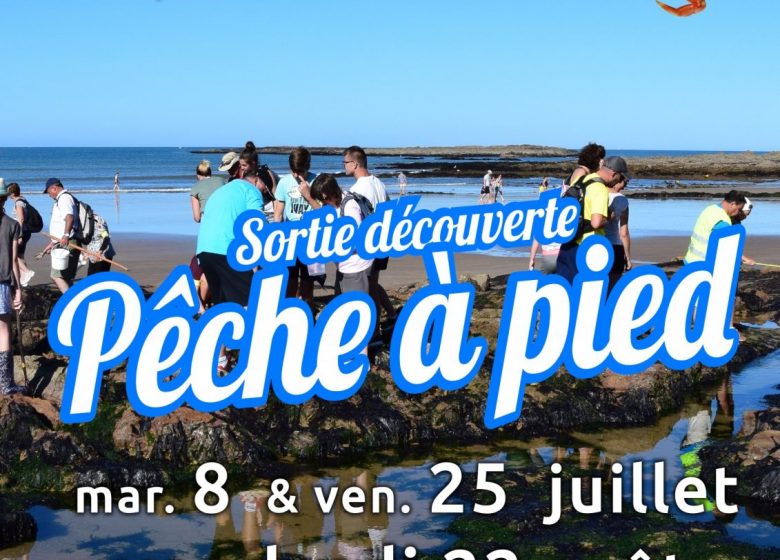 SORTIE DÉCOUVERTE PÊCHE À PIED DU JUMELAGE A BREM SUR MER