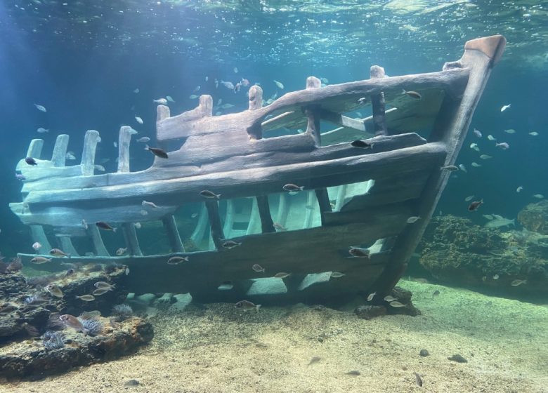 Aquarium de Vendée